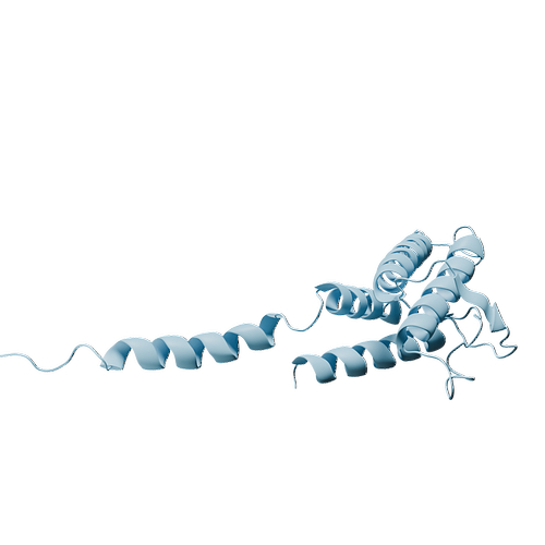 P05112-Human IL-4  -3d structure.jpg